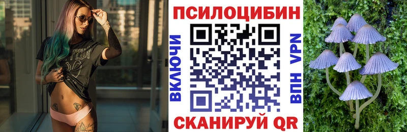 Псилоцибиновые грибы Psilocybe магазин наркотиков Искитим